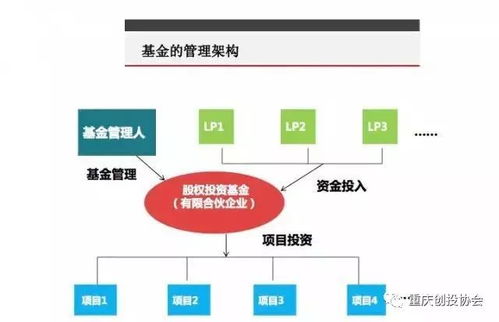 一文读懂股权投资 募投管退全流程解析